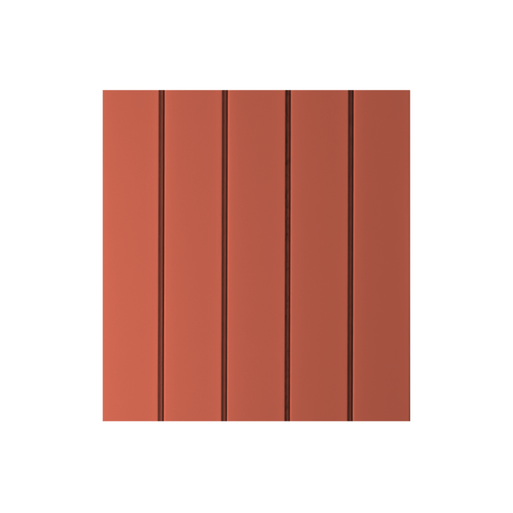 Strip | 2012 Salmon orange