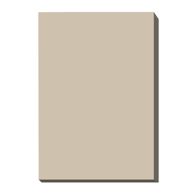 VT 538 SAND BEIGE